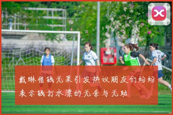 戴琳借钱无果引发热议朋友们纷纷表示钱打水漂的无奈与无助