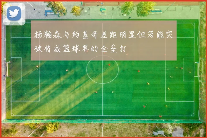 杨瀚森与约基奇差距明显但若能突破将成篮球界的全垒打