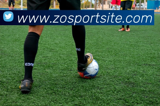 中欧体育平台生态图